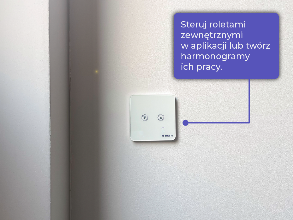 The sun is shining into the living room, blinds are visible in the window, which can be covered remotely with an intelligent blind controller.