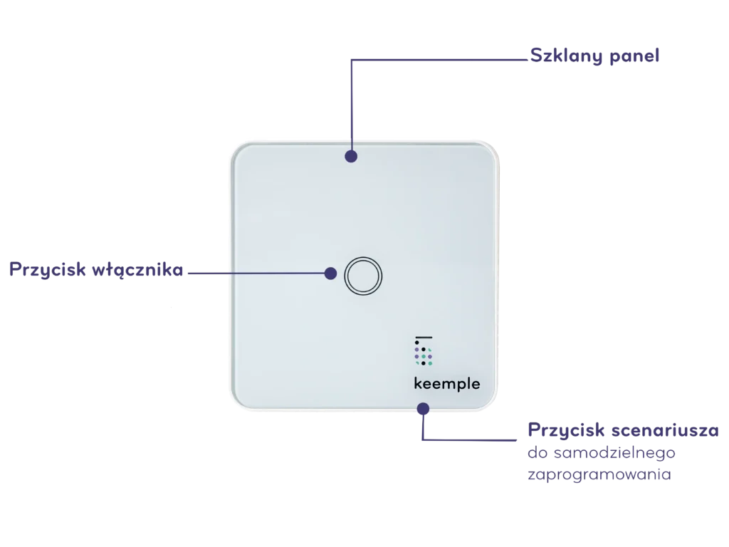 Włącznik pojedynczy, funkcje i parametry włącznika pojedynczego Keemple.
