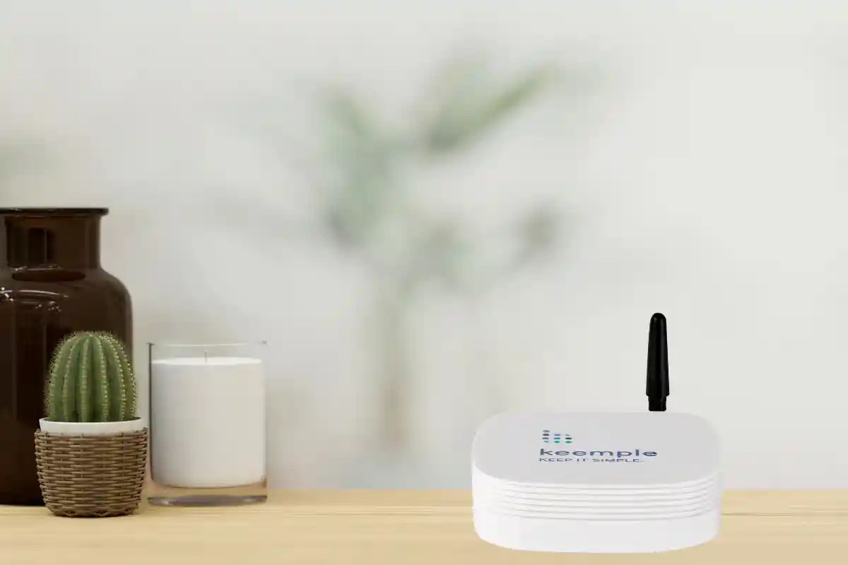 Bramka Keemple na blacie komody w salonie.